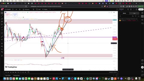 October 9 - Market Update with Teut!