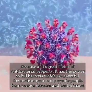 Cow dungs influence in india