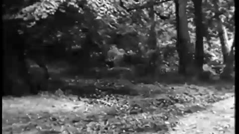 German Newsreel 735 - October 5, 1944
