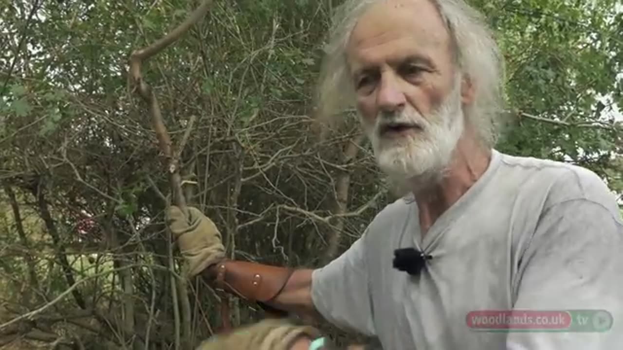 Hedge Laying