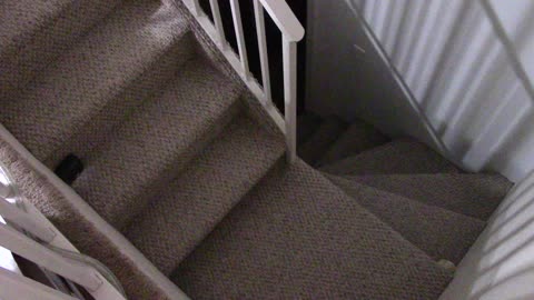 ‎September ‎5, ‎2020, ‏‎1:24:56 AM