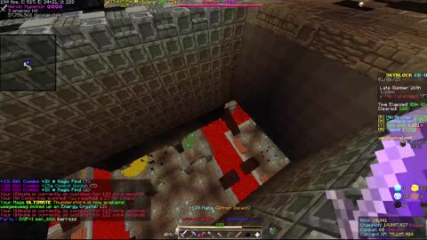 Skyblock FLOOR 7 [#1197]