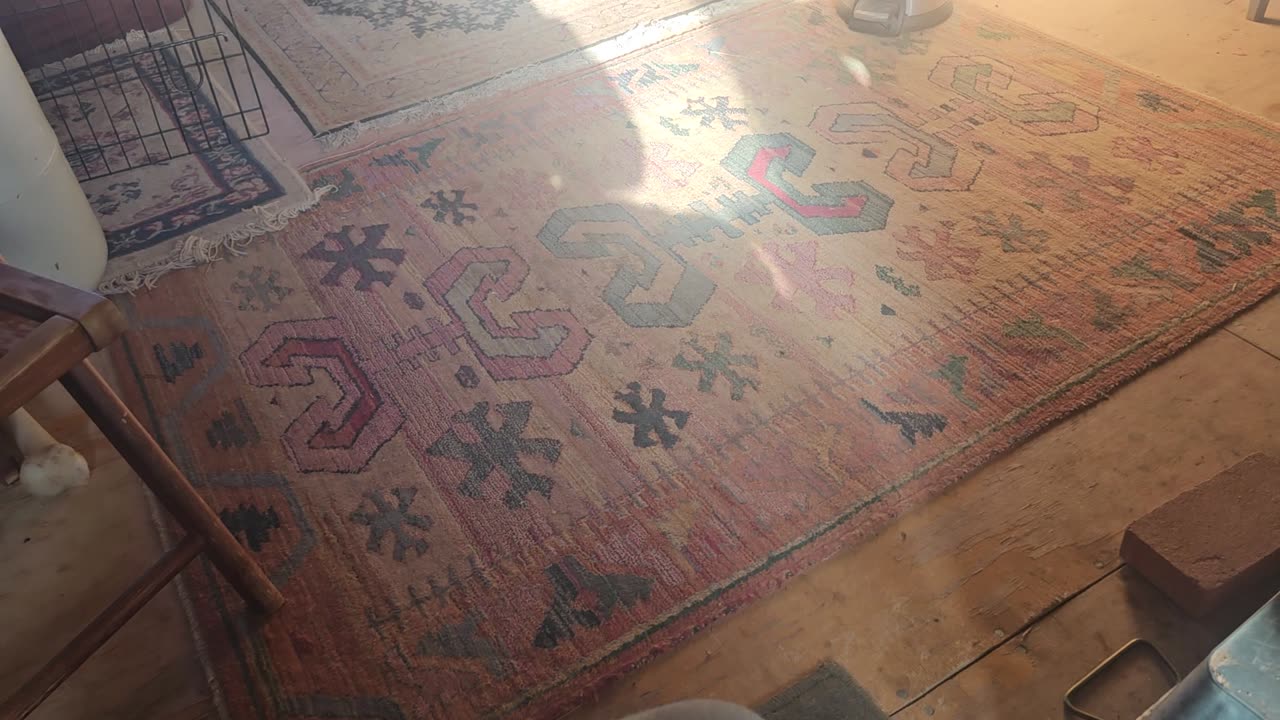 Clyde Thompson, Dog Abuser...