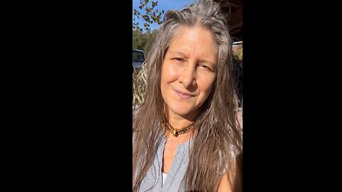 Kale Freshly Picked From The Garden Today Homesteading With Heidi Rose