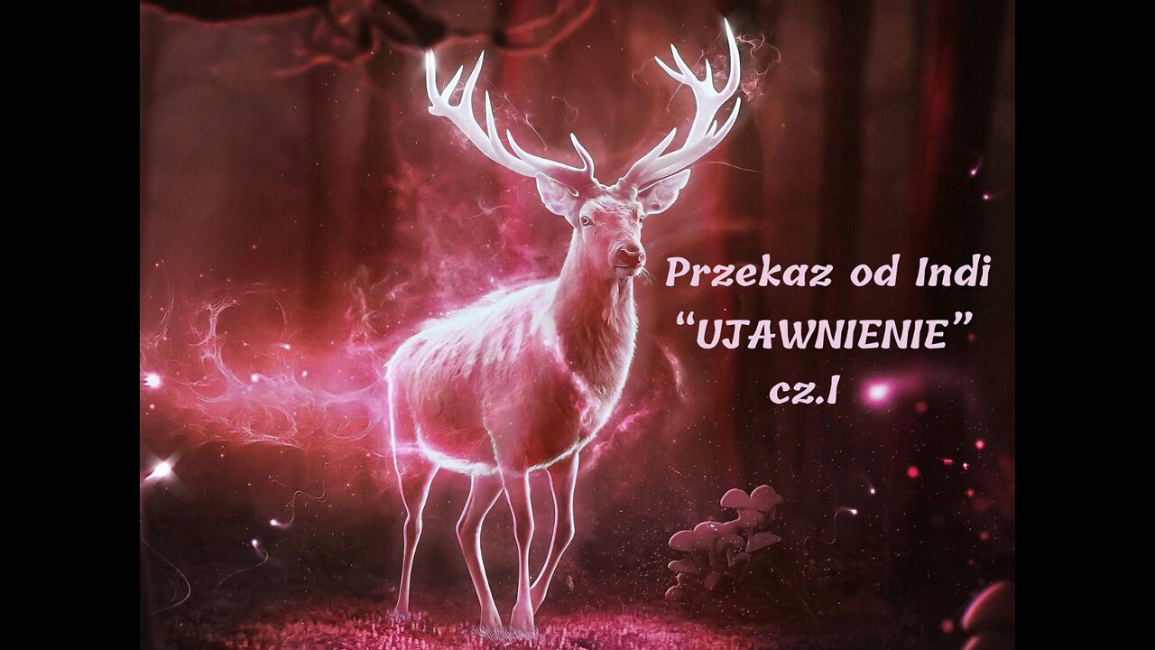 PRZEKAZ OD INDI - "UJAWNIENIE 2021" cz.I