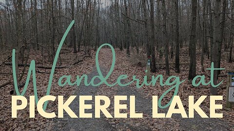 Wandering at Pickerel Lake Park, Cloudy Fall Hike | Full Hike POV | Hiking, Nature ASMR | Kent, MI