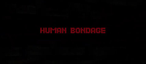 The Ascent of Money Part 2 - 6 Human bondage