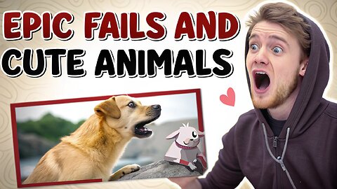 Funny Fails and Cute Animals part 9 Compilation #FunnyFails #CuteAnimals #ViralVideos