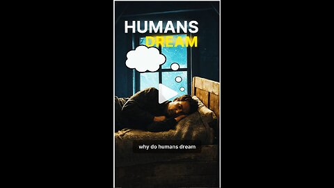 Why do humans dream?