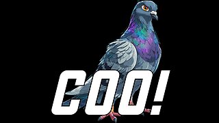 TEST STREAM NO NEED TO WATCH