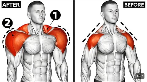 Top Best Shoulder Exercises To Build Big Shoulder Muscle _ Shoulder _ Deltoid Workout.