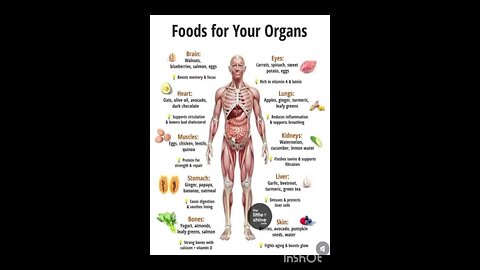 “Food for Your Organics – Nature’s Healing Power”