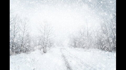 🟢LIVE: Relaxing Winter Storm ASMR: Wind howling and Calming Scenes 🟢