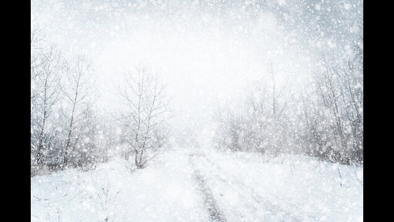 🟢LIVE: Relaxing Winter Storm ASMR: Wind howling and Calming Scenes 🟢