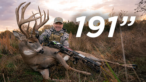 191" KANSAS GIANT | NEW MATHEWS ARC