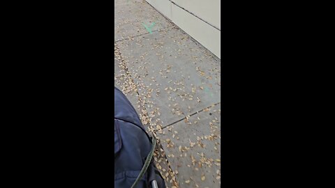 Woke man drop the F bomb 💣