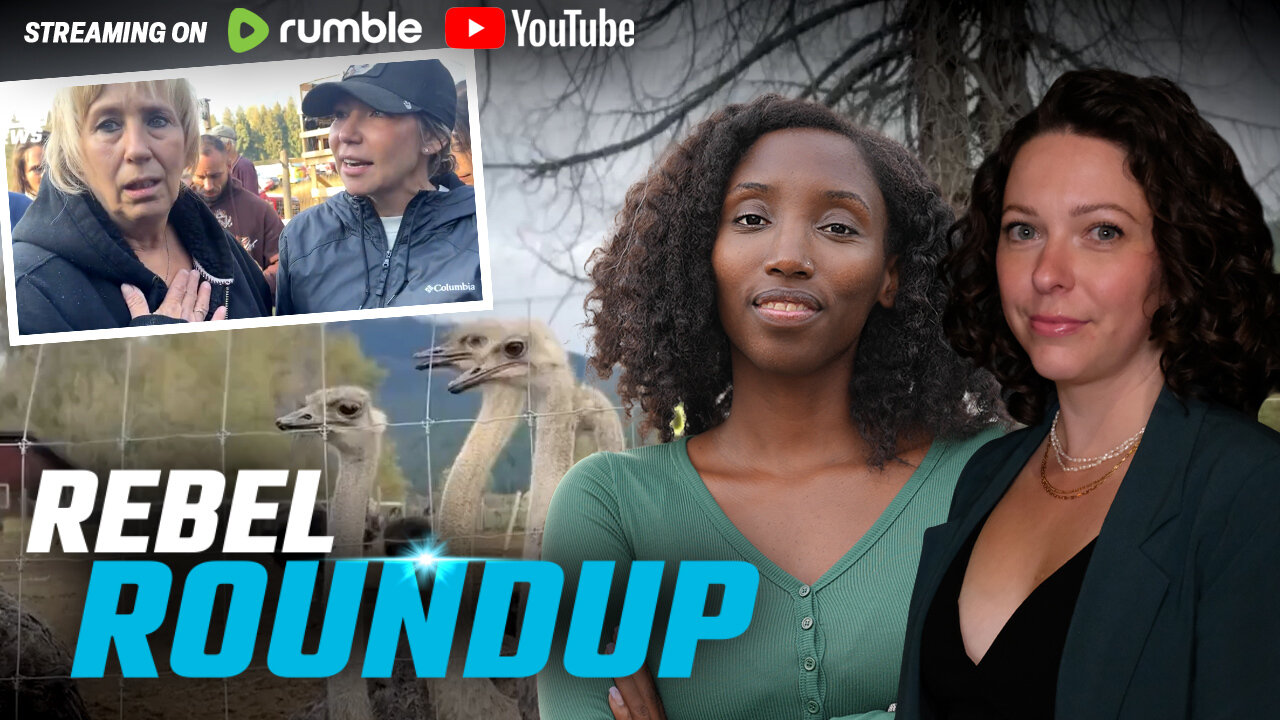 Ostriches safe (for now), Conservatives speak up, Liberals go ahead with gun grab | Rebel Roundup