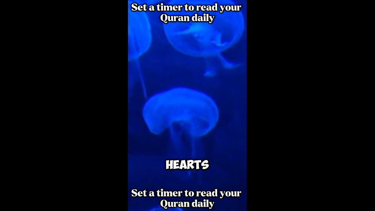 "Set a Timer to Read Your Quran Daily ⏳📖"