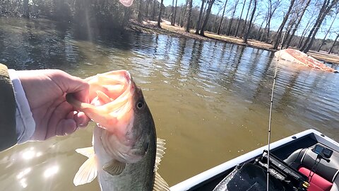 February Fishing Lake Palestine