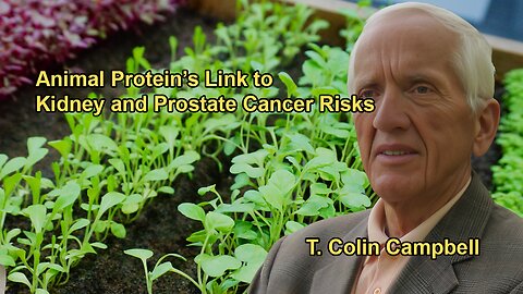 Studies Linking Animal Protein Intake to Kidney Cancer, Heart Disease, and Prostate Cancer