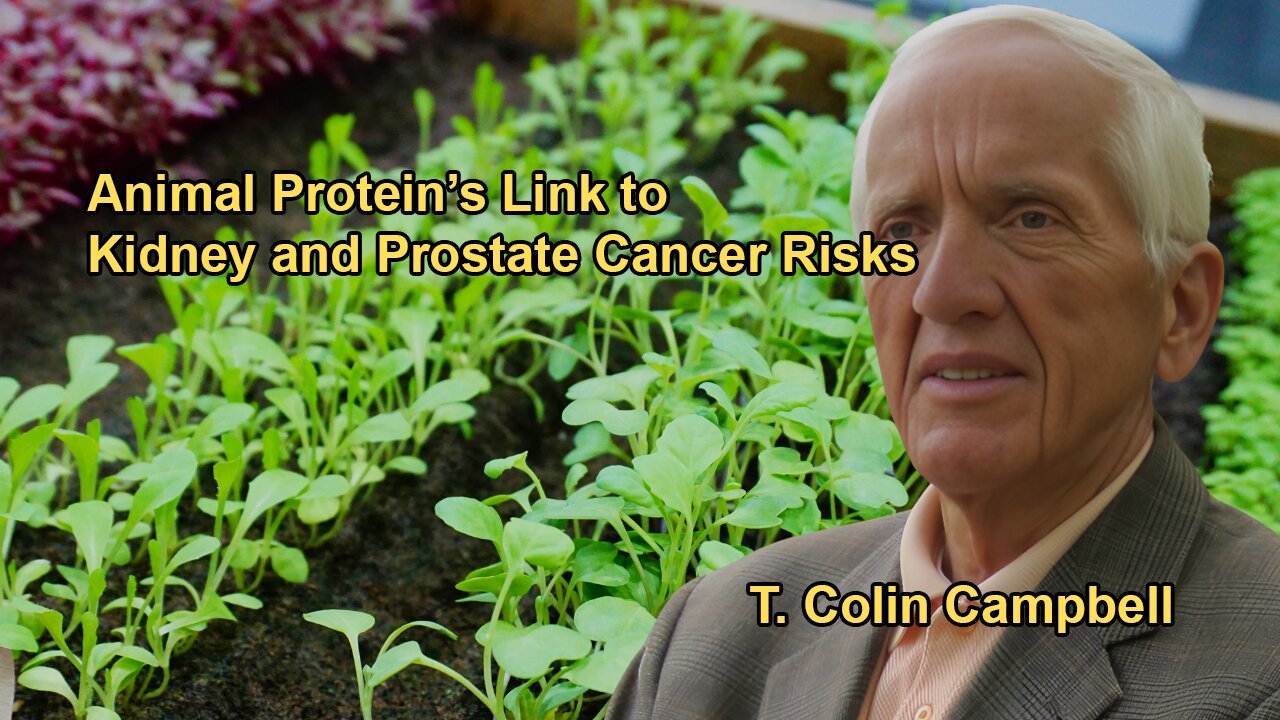 Studies Linking Animal Protein Intake to Kidney Cancer, Heart Disease, and Prostate Cancer