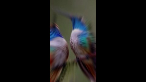 #short #shorts #shortvideo #shortsfeed #shortsviral #foryou #fyp #foryoupageofficiall #viralvideo