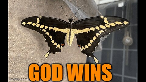 A WORLD UNITED IS A BEAUTIFUL THING. Christmaas Can Drive Love Church