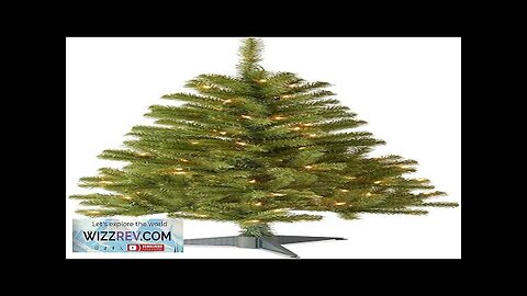 National Tree Company Pre-Lit Artificial Full Christmas Tree Green Canadian Fir Grande Review