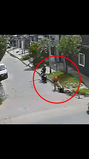 Ladrones fracasan al intentar robar una cartera