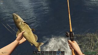 Subsistence 157 Sugar Man - Cat Fishing Pro (a quest) > > > Subsistence