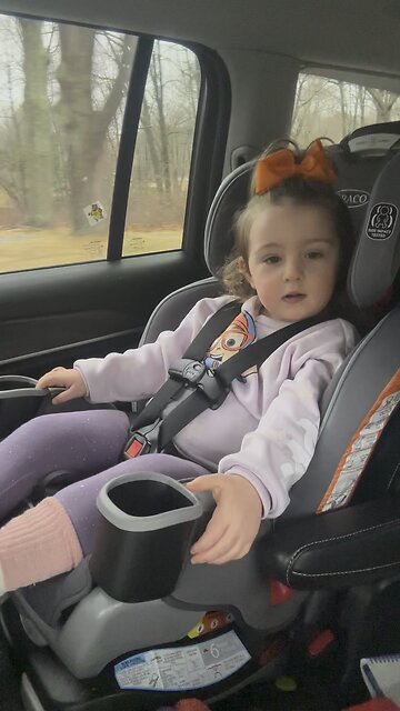 Complete Alphabet at a Year Old! The best!!