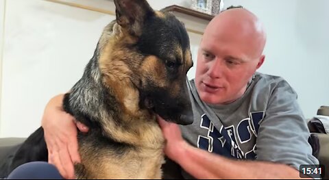 Dogs Can't Stop Being Overly Dramatic with Their Owners 😂 Funny Dog & Human Video