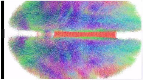 Largest Brain Map Ever Made Showing Every Neuron and Connection