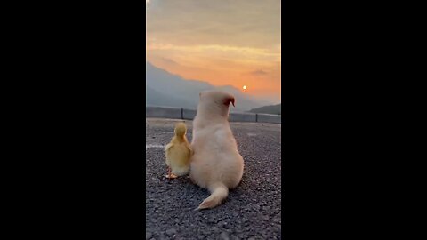 Cutest Friendship Ever..❤️