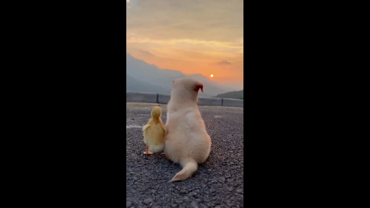 Cutest Friendship Ever..❤️