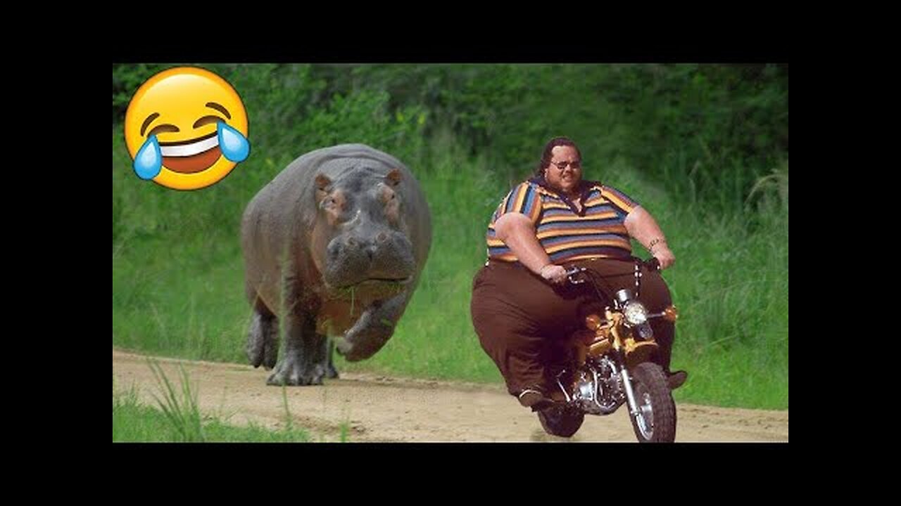 Best Funny Videos 🤣 - People Being Idiots / 🤣 Try Not To Laugh - BY Funny Dog 🏖️