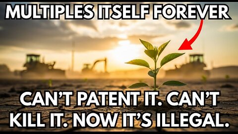 The Superfood They Turned Into a Weed: Why Is It Illegal to Grow?