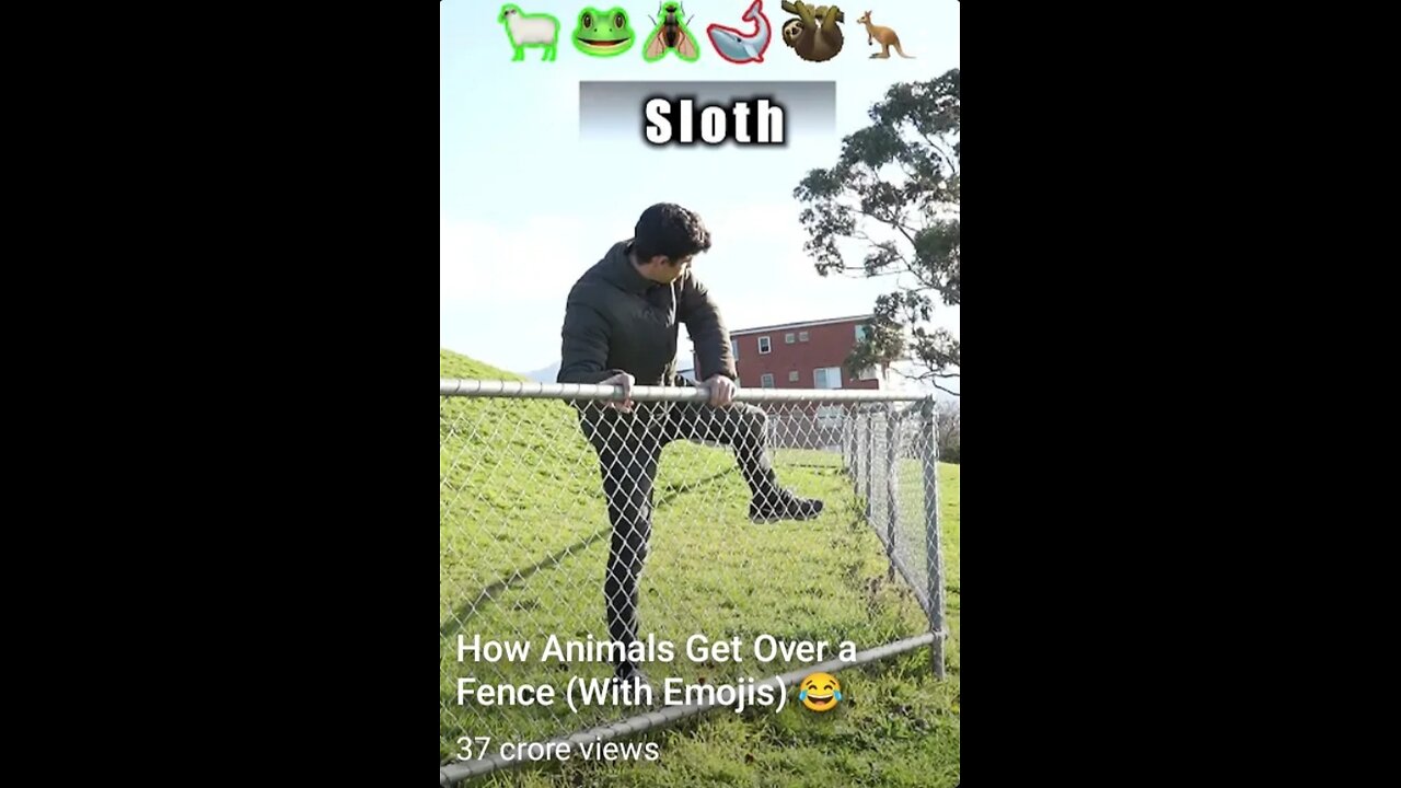 How Animals Get Over a Fence (With Emojies)