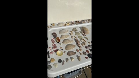 Beach Finds 1/23/2026 | 4K