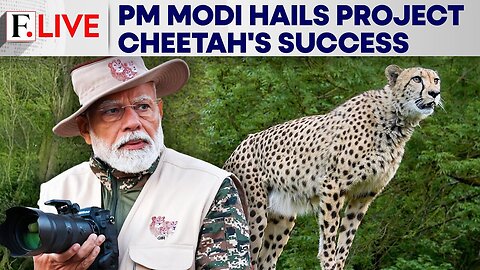 PM Modi Celebrates India’s Project Cheetah Success Story | Firstpost Live | N18G