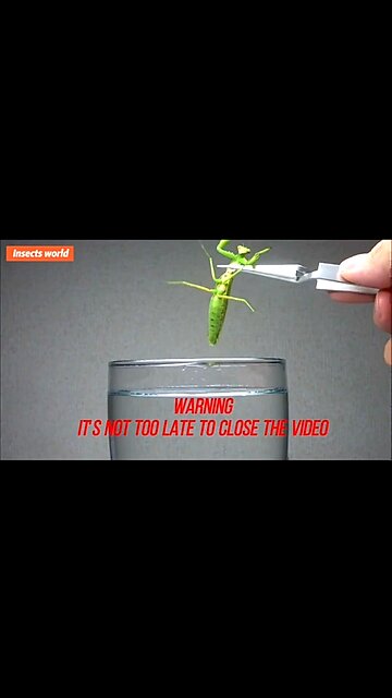 WHEN PARASITES TAKE OVER THEIR HOST! 😱