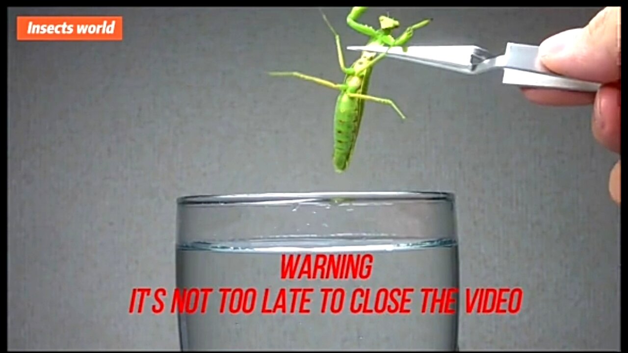 WHEN PARASITES TAKE OVER THEIR HOST! 😱