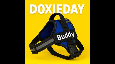 Custom Dog Harness with Name & Phone Number – Safe, Stylish & Personalized