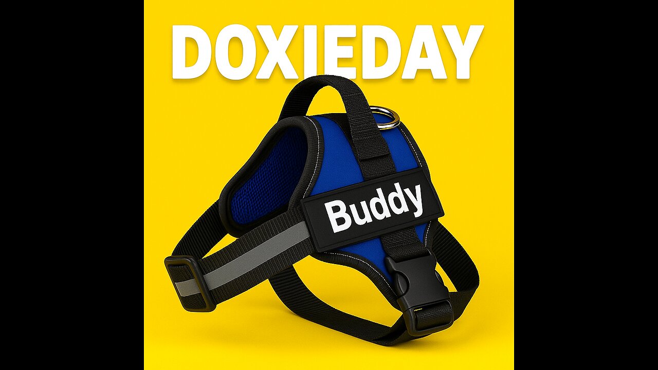 Custom Dog Harness with Name & Phone Number – Safe, Stylish & Personalized