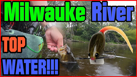 These River Smallmouth Were CRUSHING It! (Topwater Action)