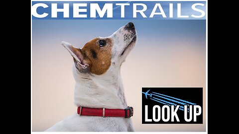 CHEMTRAILS - SILENTLY KILLING YOU - RIGHT IN YOUR FACE