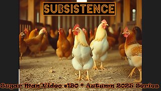 190 Sugar Man - Chicken Farming & Enemy Base Raid