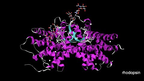 PHY2053 Lecture 4, Jan. 21 (Representations of velocity, motion in two dimensions)