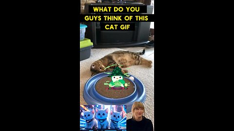 Cute Cat Gif