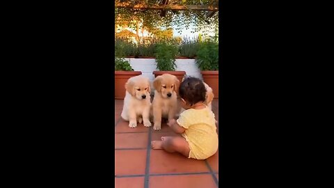 Baby Laughs With Dog — Too Cute to Handle! 😂🐕👶” #BabyLaugh #DogLover #CuteAnimals #BabyMoment